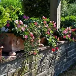 Apartmán Joanna Manerba del Garda